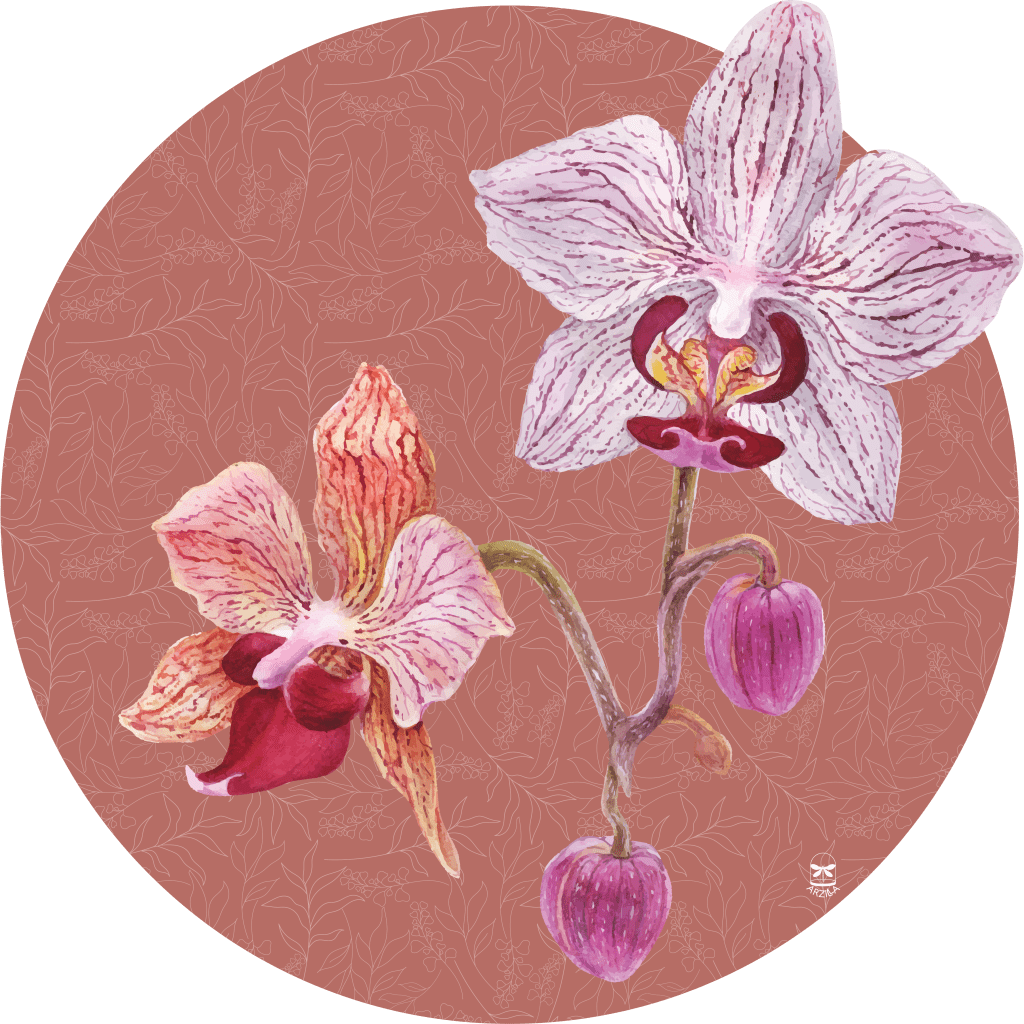 Garden Orchidea - Tovaglietta